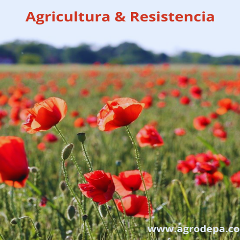 agricultura y resistencia