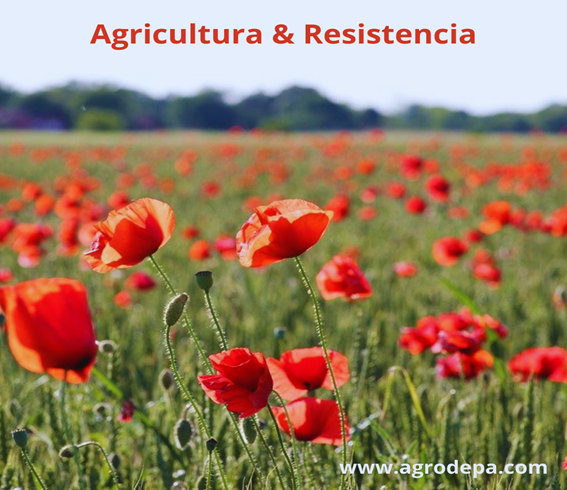 agricultura y resistencia