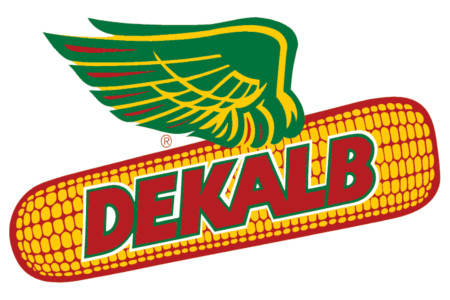 dekalp-450-300