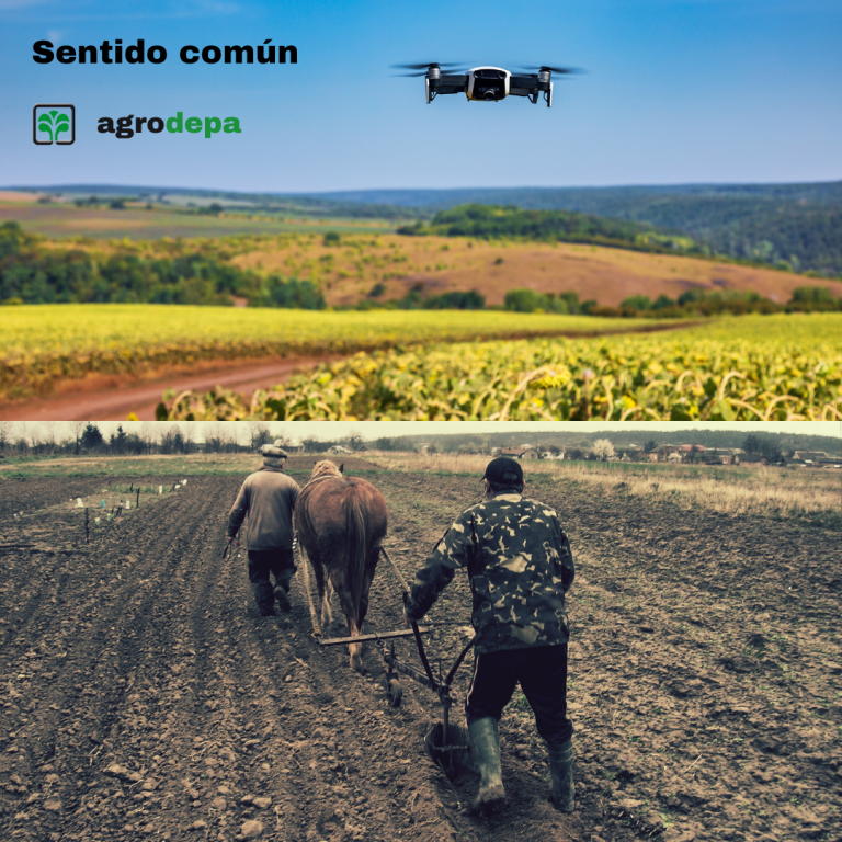 Sentido común